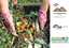 SWMD Composting