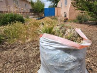 Gearing Up for Green Waste