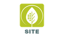 Mayor's Energy Challenge Site