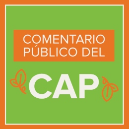cap-public-comment-web-button-spanish.jpg
