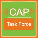 CAP TASK FORCE 4.jpg