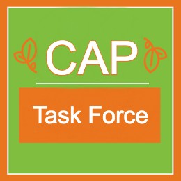 CAP TASK FORCE 4.jpg