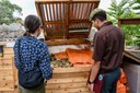 Community Compost Bin
