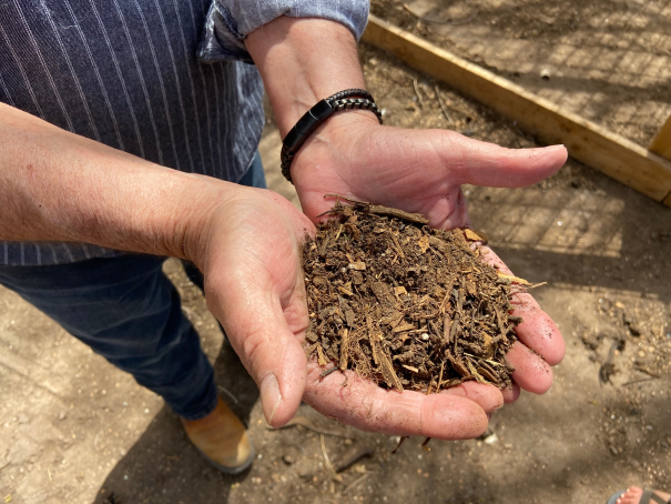 Person holding compost in their hands