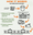 Food Waste to Compost: How it Works Graphic