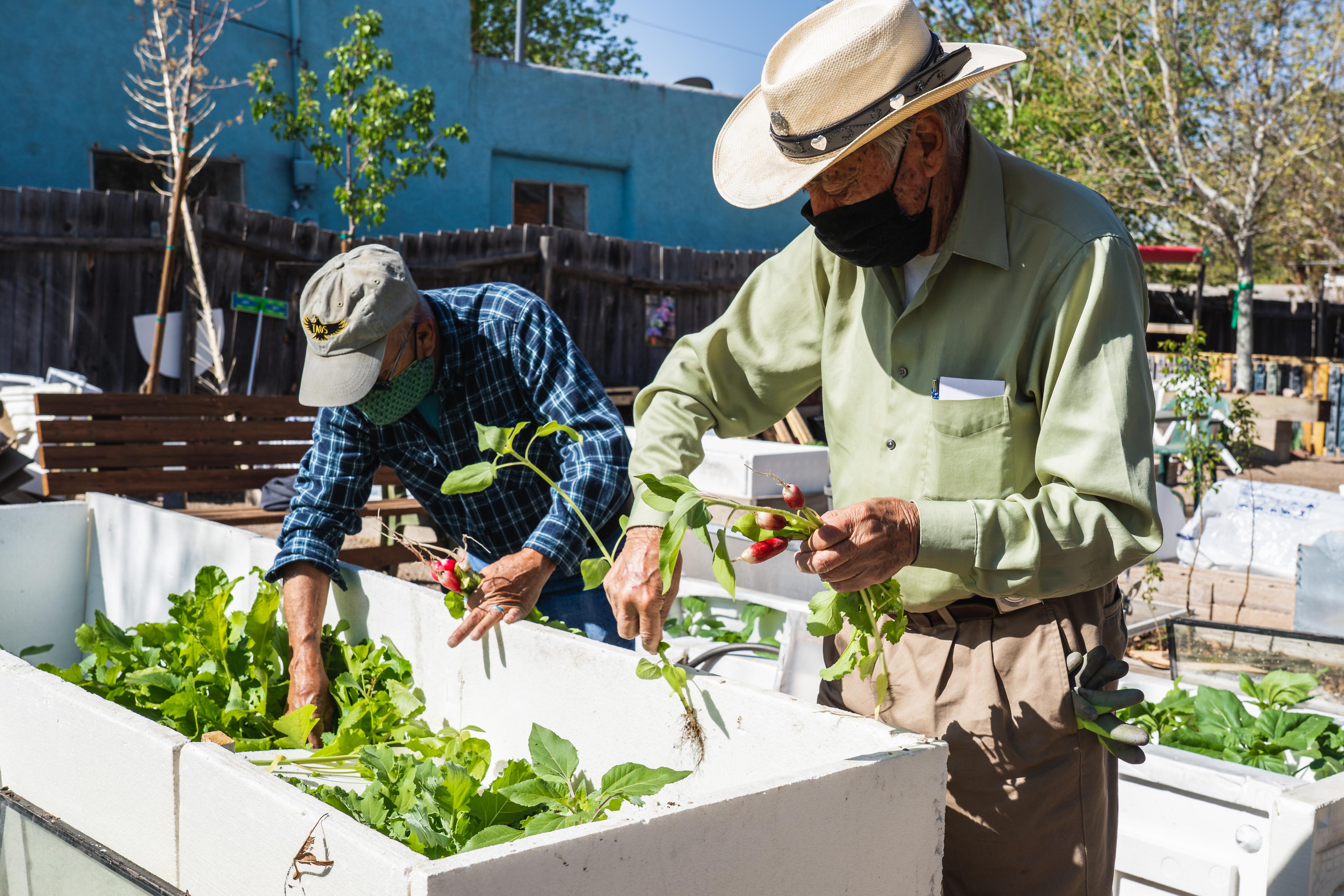 A photo of two people at a community garden.