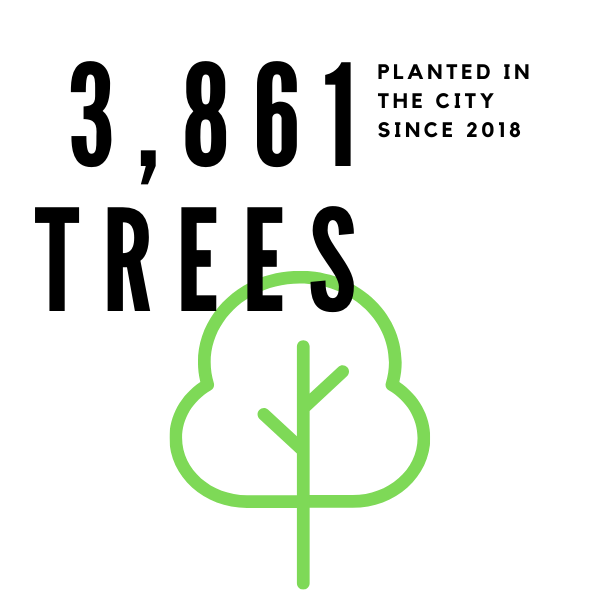 Trees Planted Infographic