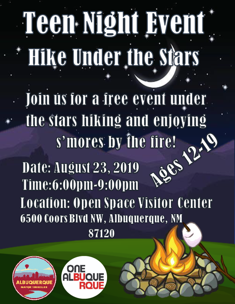 Teen Night Under the Stars Flier Image