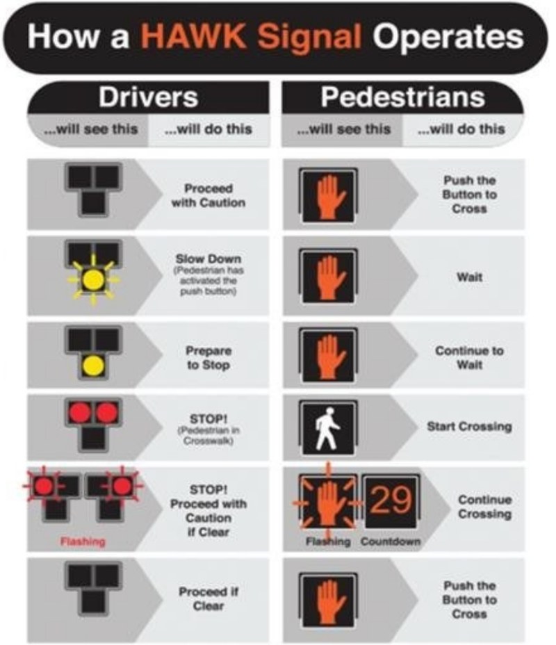 Hawk Signal No Logos