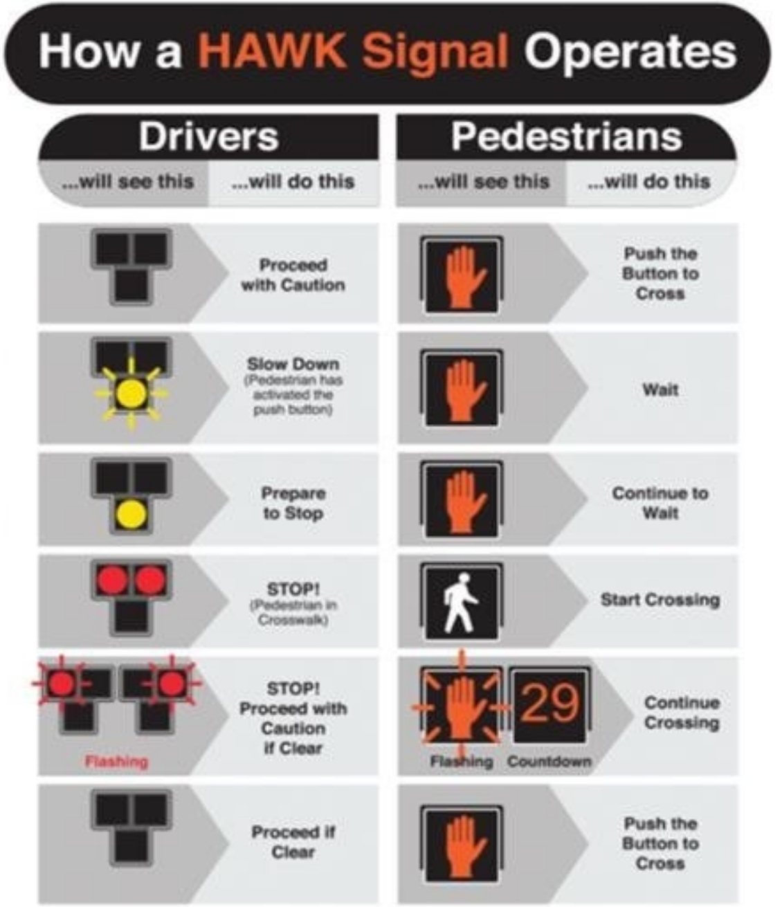 Hawk Signal No Logos
