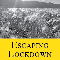 button_escaping lockdown