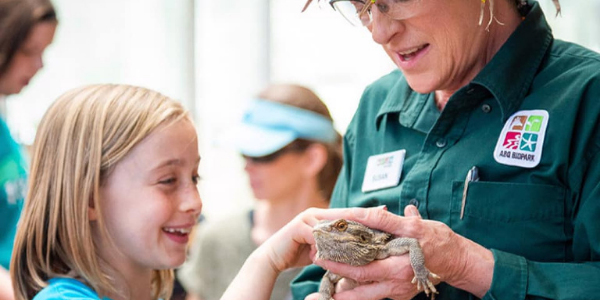 A girl petting a reptile held by a female teacher.